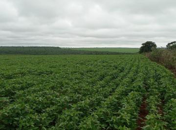 Rural · 4960000m² · Fazenda 620 ha a venda – graos e pecuaria ...