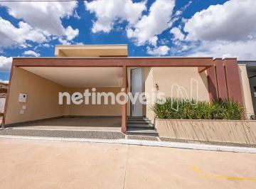 bf93a87e-03ee-4d28-b2c9-5f8ac92f7d0d.webp · Casa reformada com piscina na Colônia Agricola.