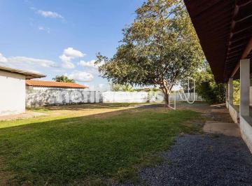 5df72e1a-716f-4646-be9d-4973294b5632.webp · Clínica veterinária à venda – Asa Sul