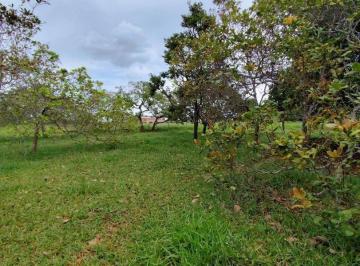 7de67ad0c750d7fdd078f93fe6236b8bde985d59 · Chácara com 2 dormitórios à venda, 10000 m² por R$ 400.000,00 - Cachoeirinha - Aragoiânia/GO