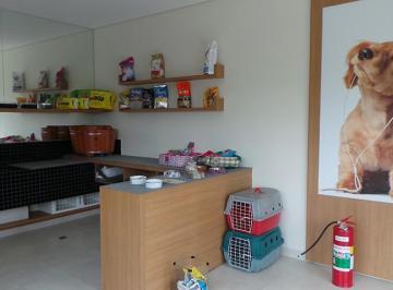 IMG_20260608_105044_000.jpeg · Imperdível apartamento para venda em Jardim Caravelas com 3 quartos, sendo 1 suíte, 130m² - remaxare
