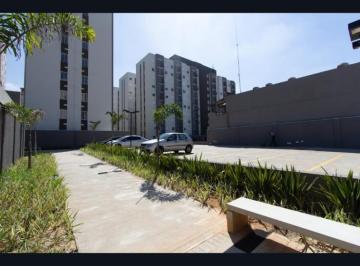 IMG_20260623_181822_000.jpeg · Espetacular apartamento para locação em Vila Guilherme com 2 quartos, 34m² - remaxmamede#F6I5R