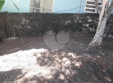 Terreno · 250m² · 1 Quarto · Terreno com 1 quartos à venda em Vila mangalot - SP