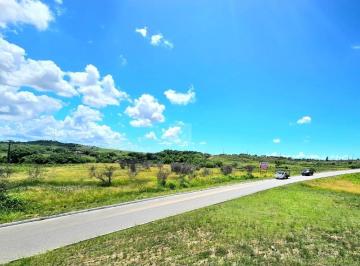 Terreno · 56000m² · Área com 56.000 m² às margens da BR 101