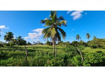 Terreno · 5874m² · Oportunidade de Investimento: Área no Robalo, Aracaju!