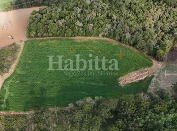 202509081135194345.jpg · Terreno para Venda em Campo Alegre, BATEIAS DE BAIXO