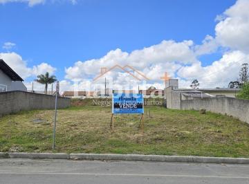 202509011016229080.jpg · Terreno para Venda em São Bento do Sul, Progresso