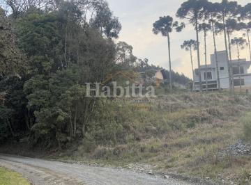 202509011008508918.jpeg · Terreno para Venda em São Bento do Sul, Colonial