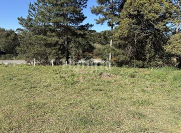 202510071439422886.jpg · Terreno para Venda em São Bento do Sul, Serra Alta