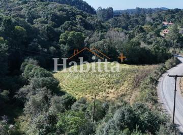 202507240914092028.jpg · Terreno para Venda em São Bento do Sul, Cruzeiro