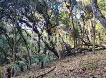 202507240921436040.jpg · Terreno para Venda em São Bento do Sul, Alpino