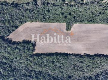 202507240904039757.jpg · Terreno para Venda em São Bento do Sul, Industrial Sul