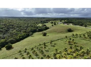 Rural , Camaçari · Fazenda Boiadeiro, 115 ha, Venda em Camaçari/Monte Gordo
