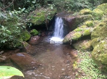 Rural · 555000m² · Sítio em Braunes, Nova Friburgo/RJ de 0m² à venda por R$ 4.000.000,00