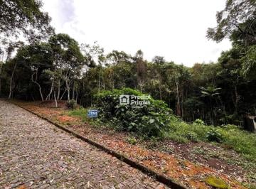 Terreno · 629m² · Terreno em Cônego, Nova Friburgo/RJ de 0m² à venda por R$ 400.000,00