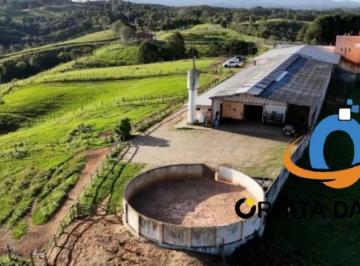 Foto 01 · Haras de luxo à venda em Tijucas do Sul-PR,  52 alqueires de área. Casa Sede 1.000m2, 6 casas de fun