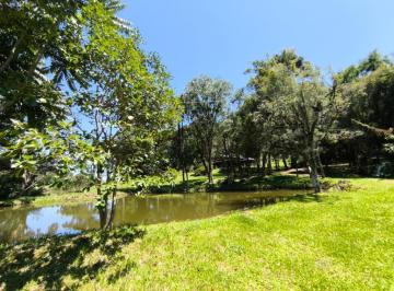 274365.jpg · Sitio - Bairro Linha Ávila