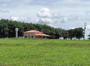 Rural · 69000m² · Neves Paulista: Sitio Excelente oportunidade para investidores e incorporadores