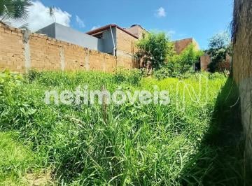 1416eb05-0581-4f59-bbf2-ac4ff600632c.webp · Lote à venda no Bairro Petrópolis, Santa Luzia