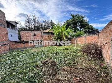 0632dbf3-5f16-4554-8b5d-0c4cb492fc99.webp · LOTE  SAPUCAIAS  III