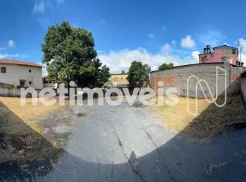 76dc6cbb-b2ae-43d1-a7b2-a3b74d51d439.webp · LOTE 720 METROS