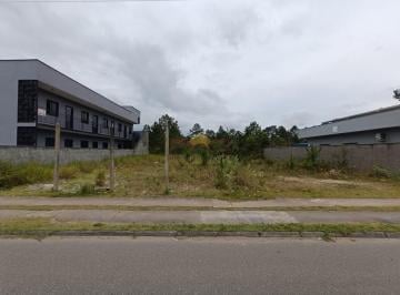 24966110_4.jpg · Terreno para locação comercial em Araquari