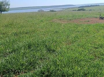 Foto 01 · Fazenda, Rural, Itapagipe, MG