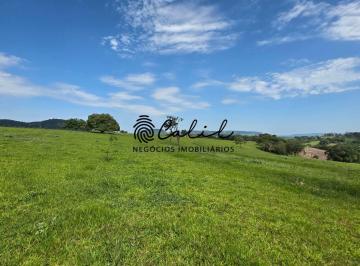 Rural · 58m² · 2 Quartos · EXCLUSIVIDADE - Fazenda para agricultura e pecuária com 58ha à venda por R$ 5.700.000,00 - Santo Ant