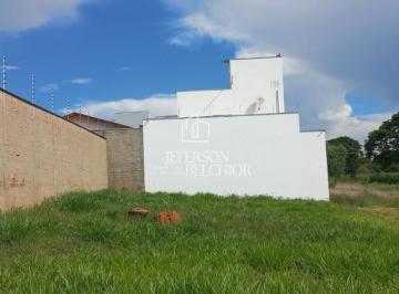 Foto 19 · Terreno, Jardim Elite, Mogi Mirim, SP