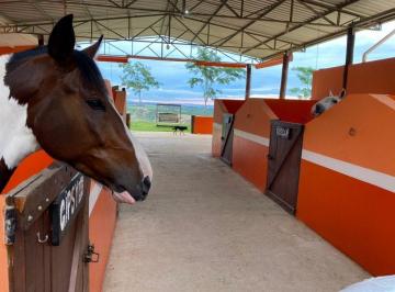 Rural , Itu · Haras em Itu