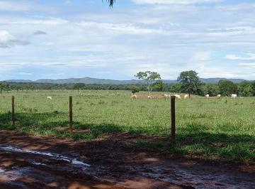 Rural de 3 quartos, Unaí · Fazenda de 1.236 Hectares - Unaí - MG - R$ 60.000.000,00