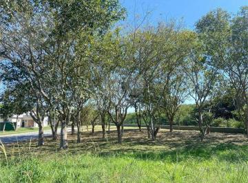 4f31dd2dc3fd0738067f62027c210ea190af77a6 · Terreno à venda, 360 m² por R$ 220.000,00 - Inoa (Inoa) - Maricá/RJ
