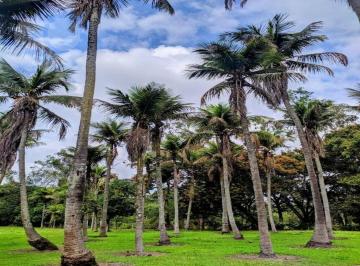 8b01b9fe2e2804bca38d0aaf60027e0e2e6d5ca2 · Sítio à venda, 80000 m² por R$ 840.000,00 - Vale Das Pedrinhas - Guapimirim/RJ