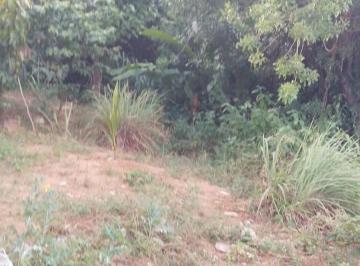 Foto 05 · Imperdível: Terreno documentado de 150m² na Canabrava, Salvador-BA. Área tranquila com pé de abacate