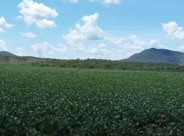Rural de 3 quartos, Vila Propício · Fazenda 535 Alqueires - 2.590 Hectares - Vila Propicio - GO R$ 64 Milhões