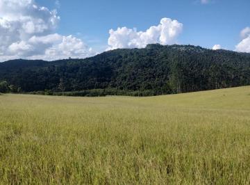 Rural , Biritiba-Mirim · ÁREA DE 21.000 M² DE PASTO IDEAL PARA FORMAR SUA CHÁCARA