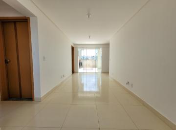 Apartamento de 3 quartos, Águas Claras · Cobertura com vista livre permanente em Águas Claras