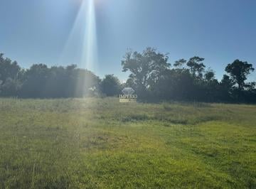 Foto 09 · Oportunidade única: Sítio à venda em Osório-RS, bairro Palmital, com 3 hectares de área! Confira ago