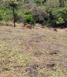 ecc8b3e507b126446b9ee36a3054608e2906dcda · Terreno à venda, 685 m² por R$ 220.000,00 - Condomínio Clube da Montanha - Atibaia/SP