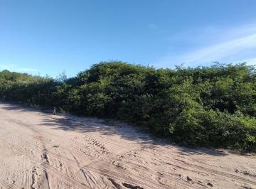 Terreno · 5000m² · Terreno com 5.000 m² em Pium