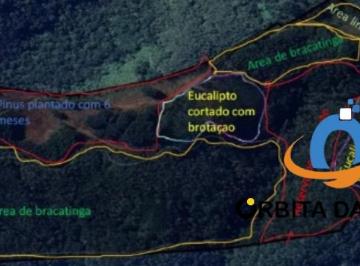 Foto 01 · Chácara à Venda com 17 Alqueires com Rebrota de Pinus e Eucalipto, Próximo a Campo Largo/PR