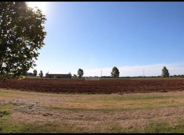 Terreno · 1500m² · Terreno a venda no Condominio Rosa de Sarom em Santa Terezinha de Itaipu