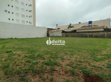 Terreno · 300m² · Terreno disponível para locação no bairro Santa Monica em Uberlândia MG
