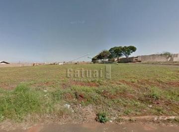 Terreno à venda - Bairro Jardim São Tomás, Londrina · Terreno à venda - Bairro Jardim São Tomás, Londrina