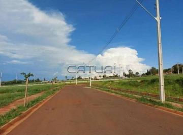 Terreno à venda - Bairro Jardim Morumbi, Londrina · Terreno à venda - Bairro Jardim Morumbi, Londrina