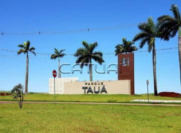 Terreno em condomínio à venda - Condomínio Parque Tauá, Londrina · Terreno em condomínio à venda - Condomínio Parque Tauá, Londrina
