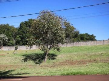 Terreno à venda em condomínio - Condomínio Terras de Canaã, Londrina · Terreno à venda em condomínio - Condomínio Terras de Canaã, Londrina