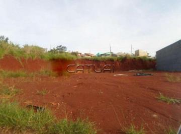 Terreno à venda - Bairro Jardim Montecatini, Londrina · Terreno à venda - Bairro Jardim Montecatini, Londrina
