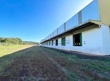 Barracao Comercial para alugar - Comercial Conjunto Habitacional Jamile Dequech, Londrina · Barracao Comercial para alugar - Comercial Conjunto Habitacional Jamile Dequech, Londrina