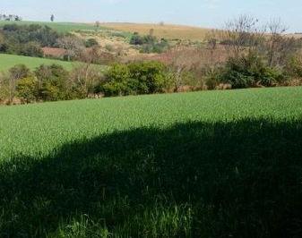 Rural - Sitio Centro · Rural - Sitio Centro